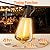 Skoiuc Solar String Lights Outdoor Waterproof with Remote & Timer, LED Shatterproof ST38 Bulbs, USB & Solar Powered Patio Lights for Backyard, Porch, Garden, Wedding, Christmas Decor (25FT)