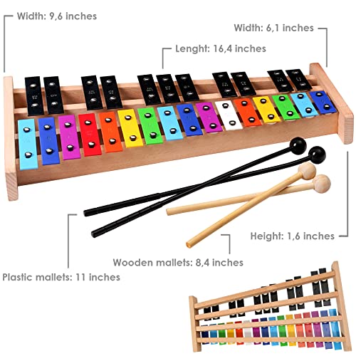 Miniartis Glockenspiel Xylophone | Full Size Glockenspiel Xylophone 27 Note Colorful Metal Keys For Adults & Kids | Percussion Musical Instrument Includes 2 Wooden Beaters, Songbook And Carry Case #TOP3