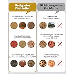 automatischer Fischfütterer mit 2.5K Kamera, App-Steuerung, feuchtigkeitsbeständiger Urlaubsfutterspender, Präzisionsfütterungssystem, visueller Monitor für Aquarien, Schildkrötenstiften (FS-2) – Bild 4