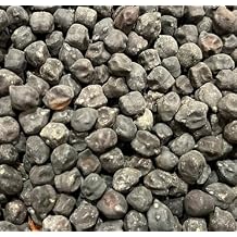 Black Garbanzo Chickpea Ceci Neri Bean Heirloom Seeds for Planting Packet