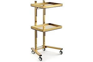 2-Tier Metal Rolling Storage Cart