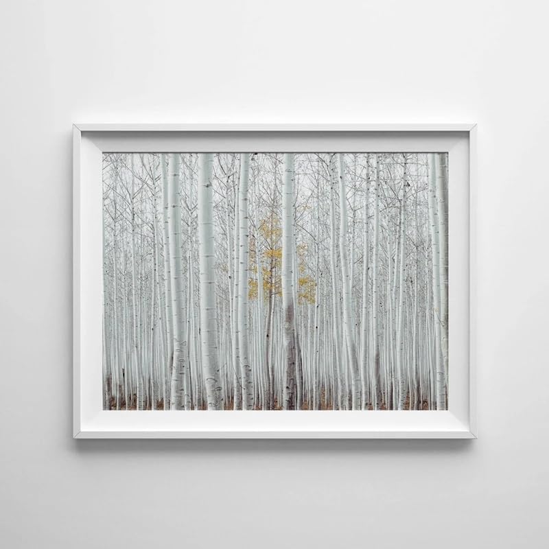 Forêt de bouleau sur toile pour une atmosphère zen à la maison