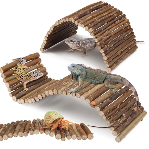 QUOZUO Lot de 2 cachettes en bois pliables pour reptiles, ermite, crabe, cachette, jouets d'escalade, décoration d'habitat de reptile, cachette en bois pour...