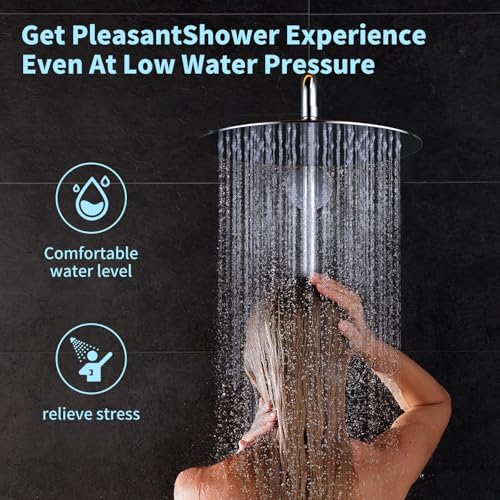Duschkopf Regendusche 12 Zoll, Rundes Regenduschkopf Ø30cm aus Edelstahl, Selbstreinigende Regendusche Brausekopf Rund, Chrom