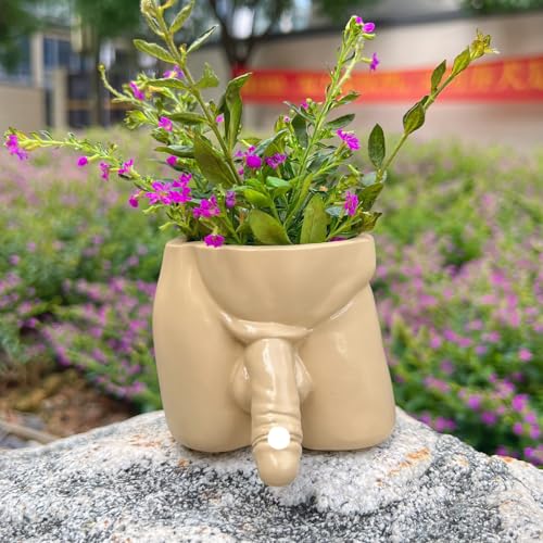 Zeehaor Body Vases,Penis Planter Pot,Funny Planter,Male Body Plant Pots,Succulent Flowerpot,for Outdoor & Indoor Home Garden Decor (Khaki)