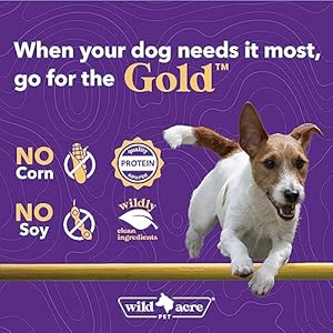 Goat Milk Powder for Dogs  Complete Protein Goat Milk with Nutritional Yeast for Sensitive Stomachs  Gentle Probiotic  Prebiotic Protein for Dogs Puppies and Cats  7oz Goat Milk Gold  Cucciolini Doodles Goat milk powder for dogs  complete protein goat milk with nutritional yeast for sensitive stomachs  gentle probiotic  prebiotic protein for dogs puppies and cats  7oz goat milk gold   cucciolini doodles