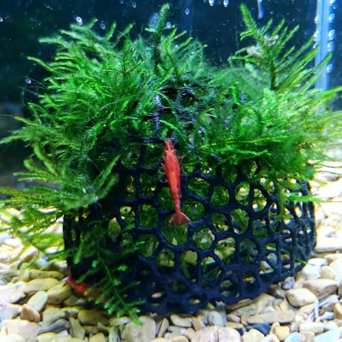 AoBeiWorld Decorative Shelter Domes, Aquarium Hideaway for Small Fish and Shrimp to Breed, Play and Rest, Safe and Non-Toxic 3D Printed Fish Tank Decorations (Black)