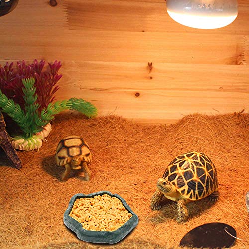 SLSON Reptile Feeder Terraium Bowl Plastic Shallow Reptile Feeder for Food and Water Feeding Dish for Lizard Gecko… - Image 3