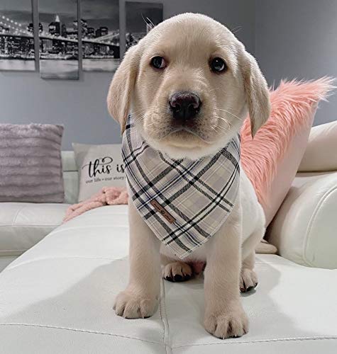 lionet paws Bandana für Hund Kopftücher Hundehalstuch Dreieckstuch für Kleine, Mittelgroße und Große Hunde
