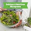 Back to the Roots Organic Microgreens Grow Kit with Ceramic Planter, Expandable Soil, Organic Seeds, and Germination Lid #5