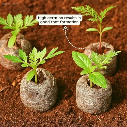 Image of GREENLOOP Cocopeat Coins | Jiffy Plug for Seeds| 40mm Size| 25 Coir Coins | Optimum to grow Seed into plant seedlings, Diameter 4 cms, Height 1cms, Expands 5X when soaked in water, bio-degradable