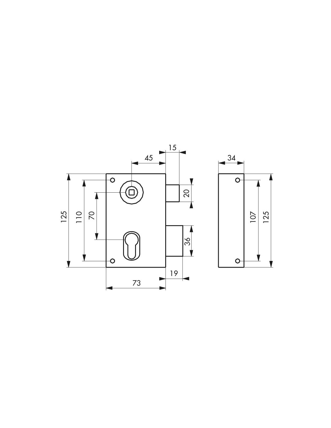 THIRARD - Boitier de serrure verticale en applique double entrée à fouillot pour entrée, droite, axe 45mm, 73x125mm, noir