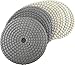 DAMO 4 inch Dry Diamond Polishing Pads Set of 7 with Back Holder for Granite, Concrete, and Marble Surfaces