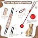 Leyndo 4 Pcs Dog Training Set Include Dog Sleeve Pillow Tug Toy Training Stick and Rubber Ball Professional Equipment for Biting Interactive Fetch K9 Puppy(Red)