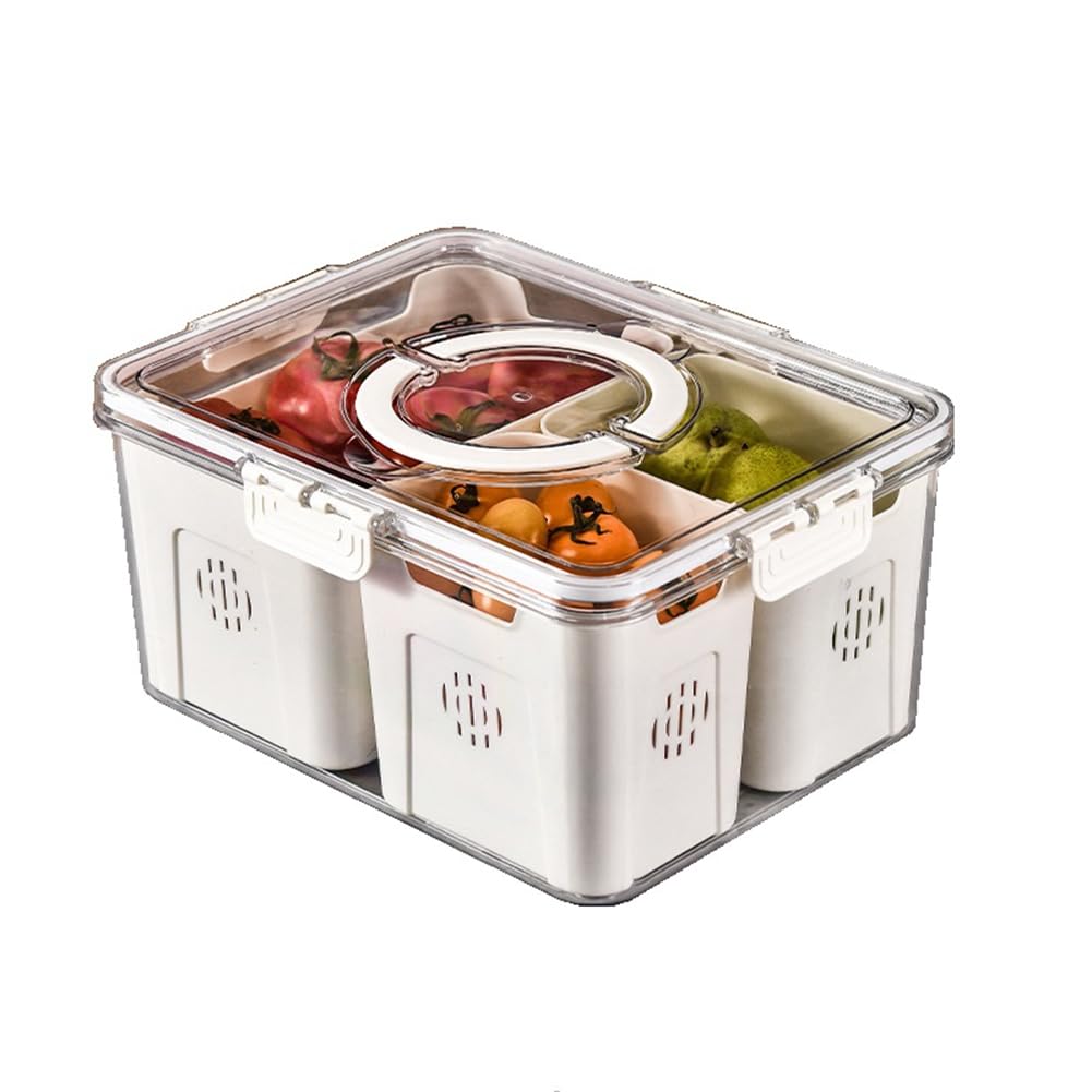 CTRLZS Fruit Tray for Large Picnic Refrigerator Food Storage Transparent Snack Box in Kitchen 3 Grids