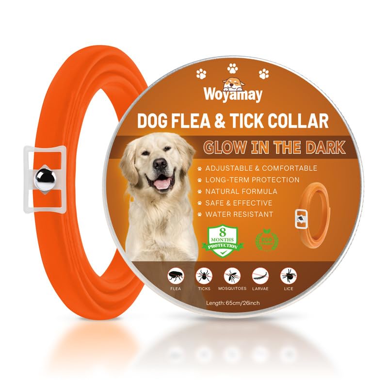 Woyamay Collar Antiparasitario Perros, Luminoso Collar Antipulgas Perros, Eficaz Collar Perro de Pulgas y Garrapatas, 8 Meses de Protección, Impermeable para Pequeño Mediano Grandes Perros Naranja