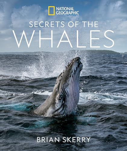 25 Best Whale Gifts for Adults 14 Secrets of the Whales by Brian Skerry