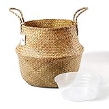 Potey Bauchnabelkorb aus Seegras mit Griffen  Aufbewahrungskorb für Blumentopf, Wäsche, Picknick und Lebensmittelkorb Extra Large - 11.4 inch D braun