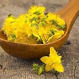 David's Garden Seeds Herb Wort St. Johns 9937 (Yellow) 200 Non-GMO, Heirloom Seeds
