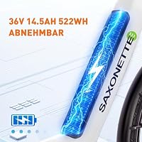 SAXONETTE E Fahrrad Herren 28 Zoll mit Mittelmotor 90NM， Bis zu 120km – Ansicht 4
