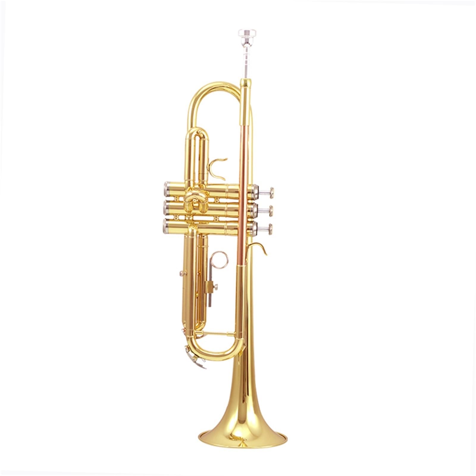 Trumpets for Beginner Entry-level B Flat School Orchestra Adult Beginner Exam(A)