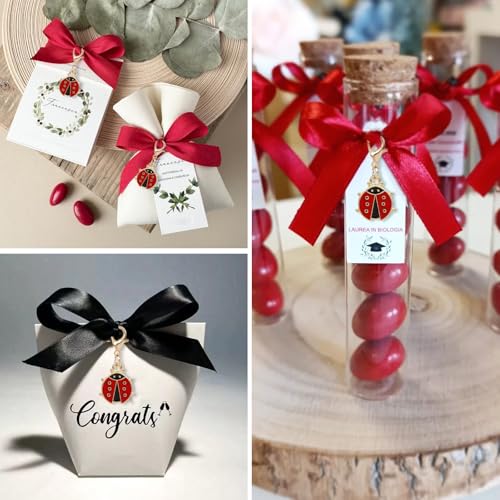 BOOMTOP 24pcs Marienkäfer Anhänger Klein Schlüsselanhänger Glückbringer Kleiner Geschenkanhänger Abschluss Prüfung Silvester Weihnachten Neujahr Geschenk Adventskalender Füllung