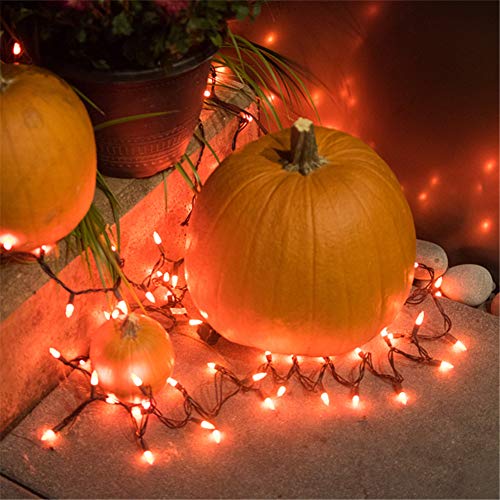 image for Twinkle Star Halloween Lights, 150 Lights Incandescent Mini Christmas 