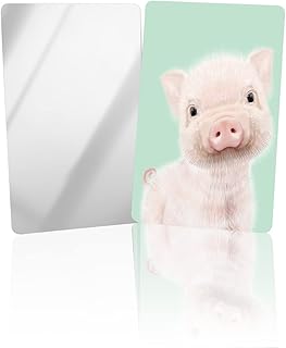 OComster Cute Farmhouse Pig Oil Painting Compact Mirror Bulk Mini Card Mirror, Cute Farm Animal Mint Green Small Compact Mirror for Purse, Rectangular Handheld Pocket Makeup Mirror