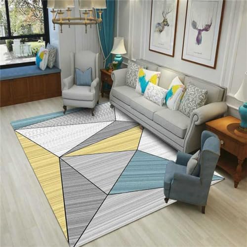 Tapis lavable en machine antidérapant et grand format 180x250cm
