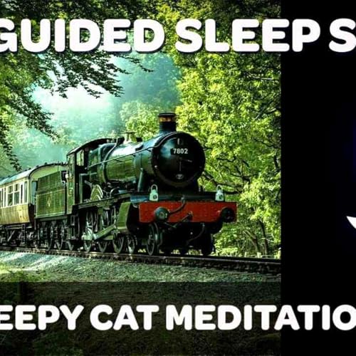 Magical Ride on The Hogwarts Express - Harry Potter Inspired Sleep Story (_Yer a Wizard_) of 16