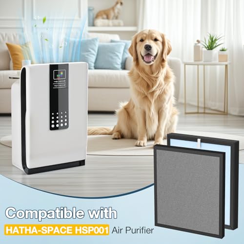 Image of HSP001 Filter Replacement Compatible with HATHASPACE Air Purifier HSP001 | 4-in-2 Filtration with H13 True Hepa and Activated Carbon, 1 Pack