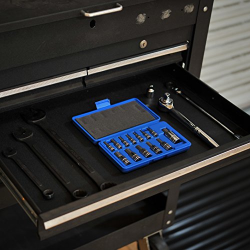 Neiko 10074A Hex Bit Socket Set, Metric, 2mm to 14mm | 13-Piece Set, S2 and Cr-V Steel, 1/4”, 3/8” and 1/2-Inch Drive