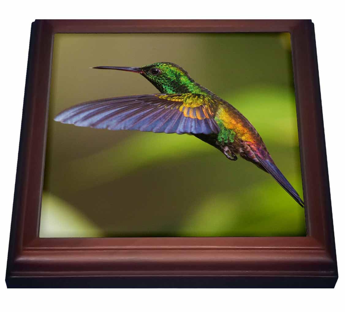 3dRose Hummingbird Trivet with Tile, 8 by 8