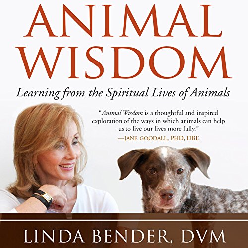 Cover art for Animal Wisdom
