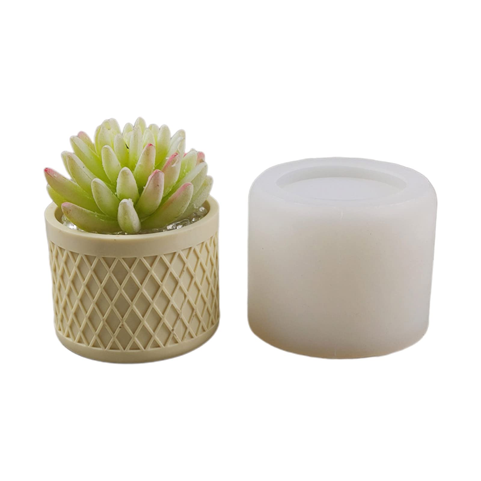 Moule en silicone pour succulentes et décoration intérieure