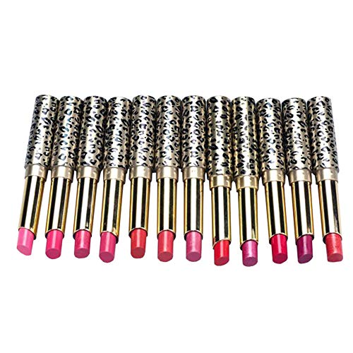 12PCS Lipsticks Lip Stain Makeup Lot Leopard Moisturizing Lip Stick