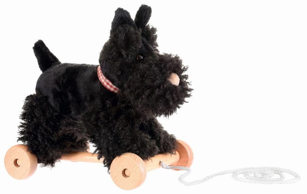 Egmont Toys Walter 591025 Jeu d'entraînement en Bois et Peluche pour Filles à partir de 12 Mois, Multicolore