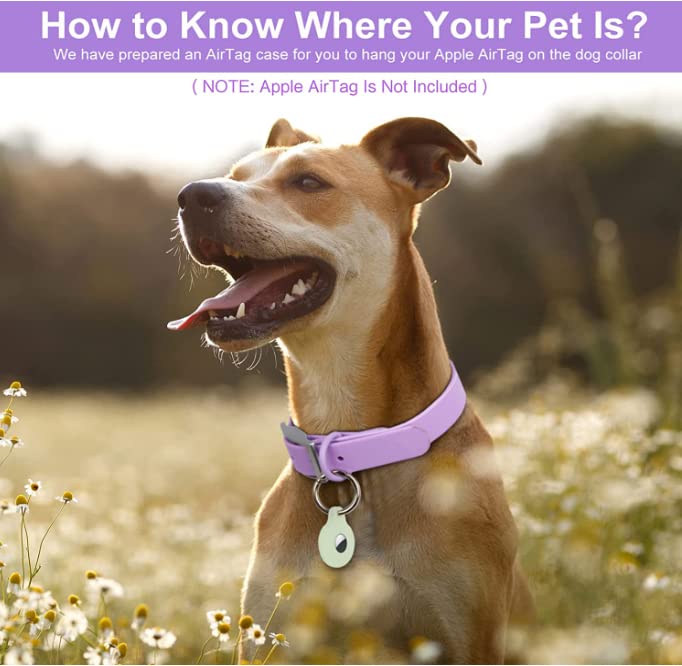 Cosyhome Adjustable Dog Collar with Airtag Holder: Durable Dog Collars, Soft Rubber Coated Webbing - Image 3