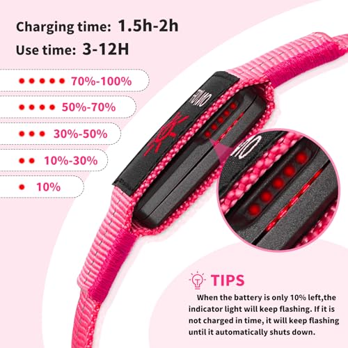 Light Up Dog Collars - Image 2