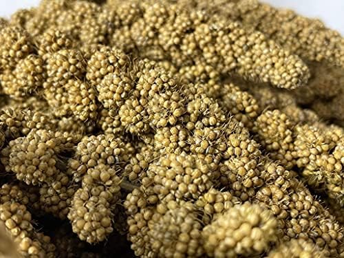 AA Plus Shop Spray Millet Treat Feed for Birds Parrots Parakeets and More 5lb, Yellow, 5 Pound (Pack of 1)