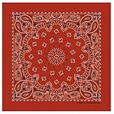 Hav-A-Hank Terracotta Paisley Bandanna, 22x22, Made in USA. 100% cotton, classic paisley print double sided. Skull cap, head, wrist band, crafts and costumes.