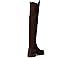 Stuart Weitzman 5050 Celia Boots - Back View