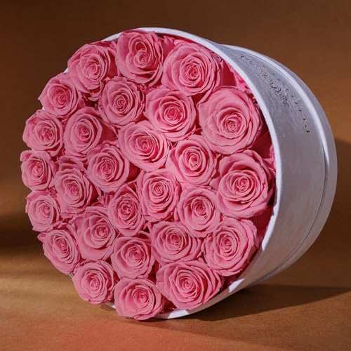 27 Flowers in a Luxury Suede Box, Birthday Gifts for Women, Preserved Flowers, Mothers Day Roses Gift for Mom, Light Pink