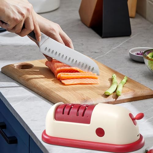 Affûteur électrique de couteaux compact pour appartement et camping - 4