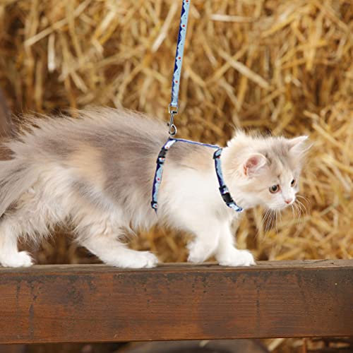 SCENEREAL Cat Harness and Leash Set - Pet Outdoor Walking Escape Proof, Adjustable cat Harness with Natural Scenery… - Image 8
