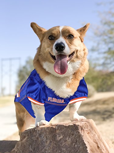 Image of Pets First Collegiate Florida Gators Dog Mesh Jersey, Large