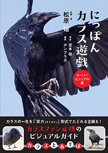 Amazon.co.jp: 松原 始: 本、バイオグラフィー、最新アップデート