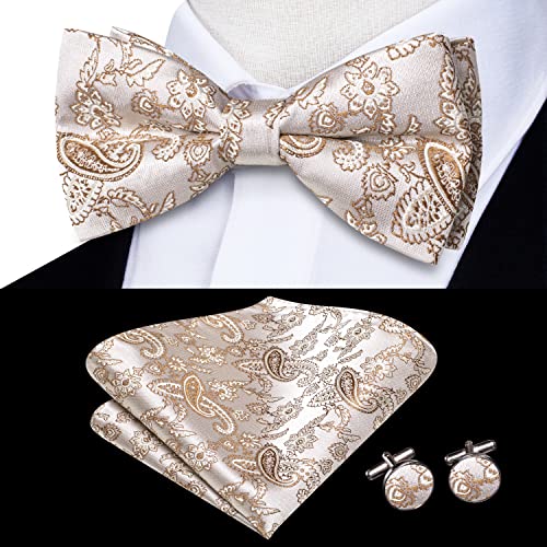 Image of Hi-Tie Mens Champagne Paisley Bow Ties Pre-Tied Pocket Square with Cufflinks Mens Bowtie Sets for Wedding Formal Party
