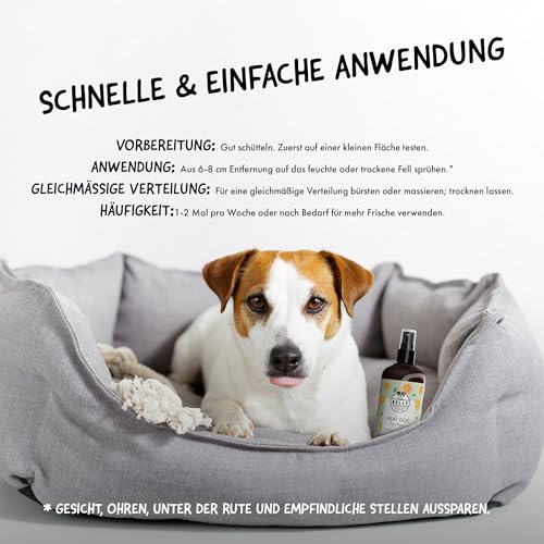 Belly® Hundeparfüm – Duftspray für Hunde & Welpen –250ml– Parfüm für Hunde mit Vanille & Orange – Spray gegen Geruch – pH-neutral – Fellpflege & Hundepflege