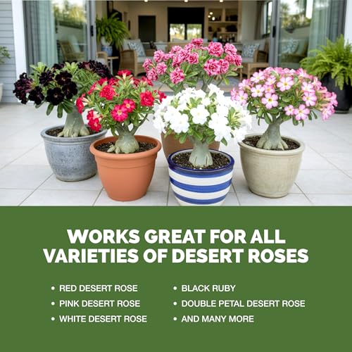 Desert Rose Fertilizer líquido 8 oz miniatura 5
